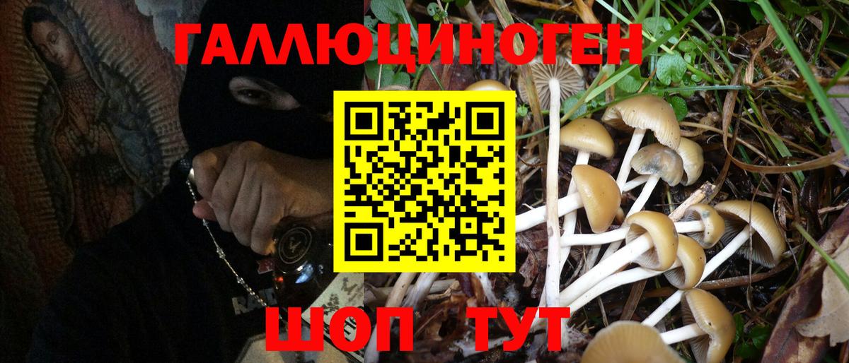 Псилоцибиновые грибы ЛСД Королёв